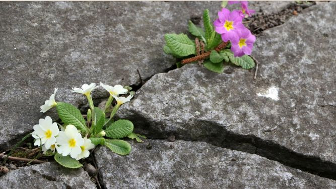 СЕКОГАШ ГЛЕДАЈ НА ПОСВЕТЛАТА СТРАНА...